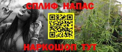 a pvp Дубна