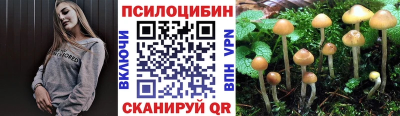 маркетплейс телеграм ссылка на мегу ссылки Магадан Галлюциногенные грибы мицелий