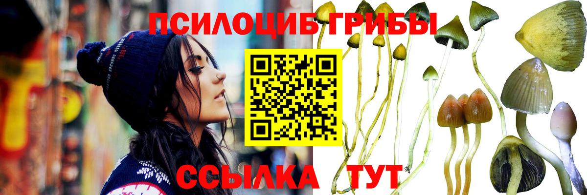 Псилоцибиновые грибы Psilocybe  Псилоцибиновые грибы GOLDEN TEACHER  Вход с VPN  наркотики  Магадан 